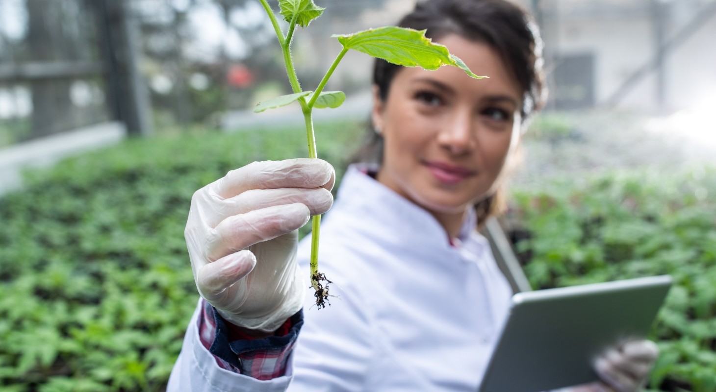 biologist holding seedling and tablet in greenhouse