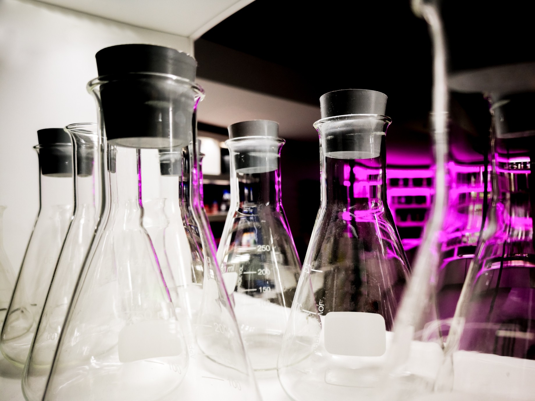 scientific glassware for chemical experiment with lab interior background