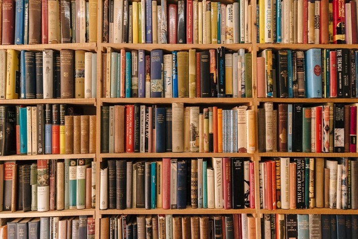 basic wood shelves full of old books