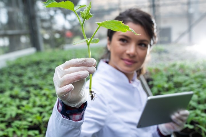 biologist holding seedling and tablet in greenhouse